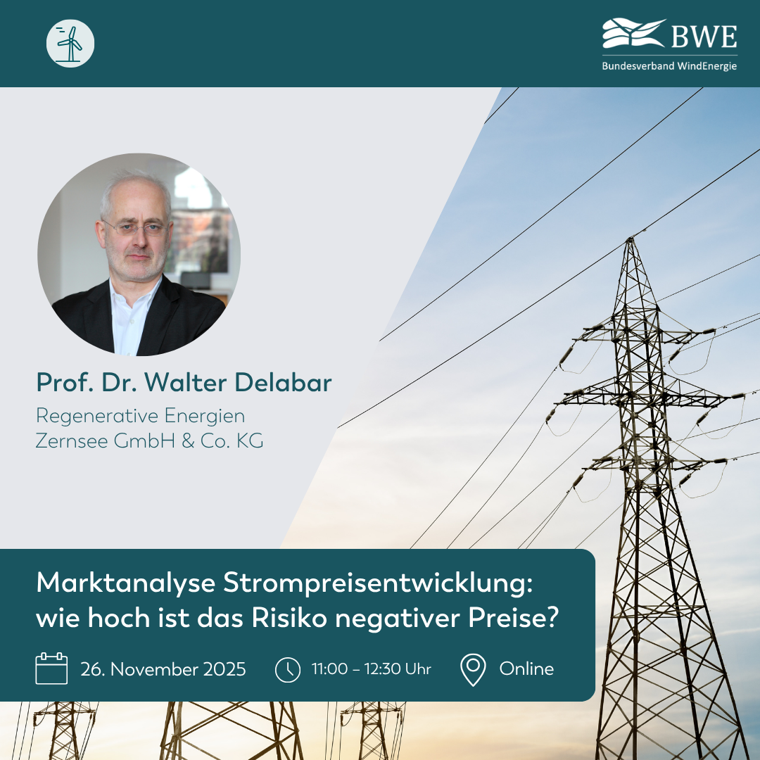 Marktanalyse zur Strompreisentwicklung: REZ-Geschäftsführer als Referent im Webinar